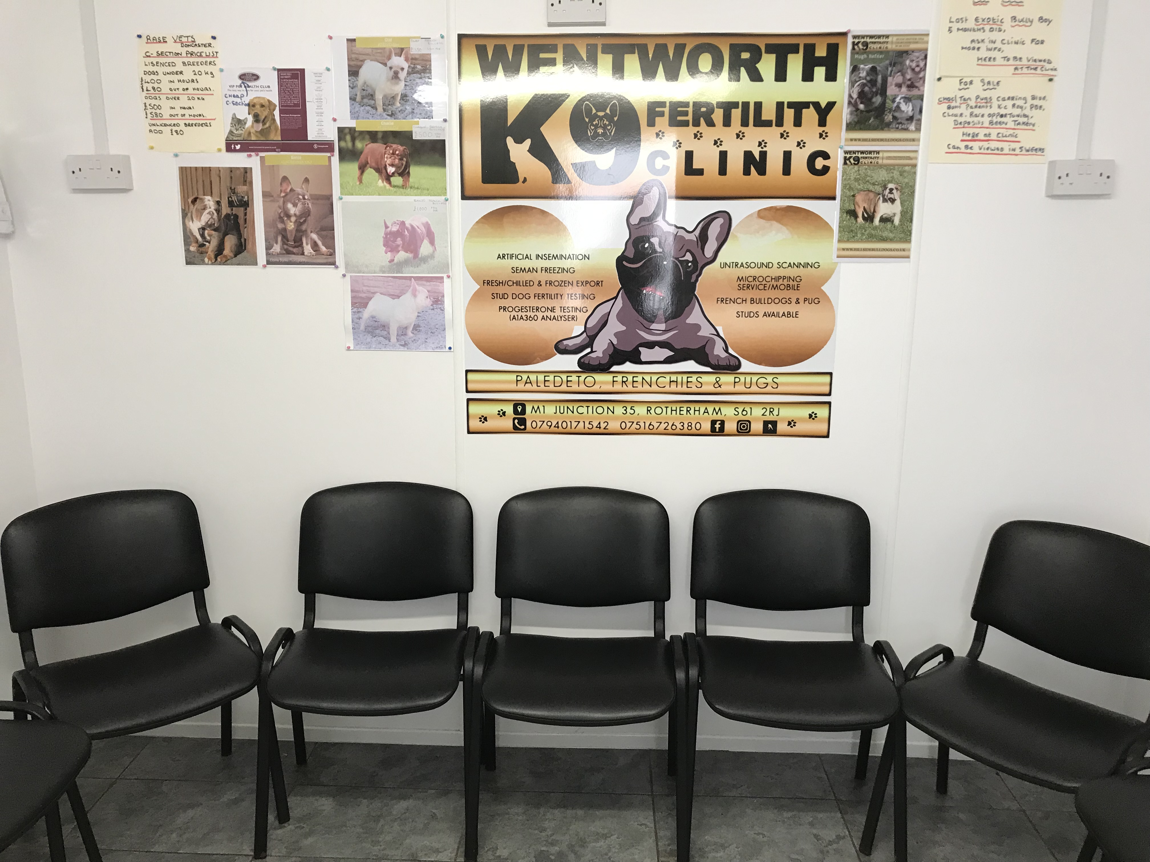Wentowrth K9 Fertility Clinic office waiting room
